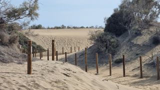 2023-GC--Mapalomas dunas-S123-243.jpg